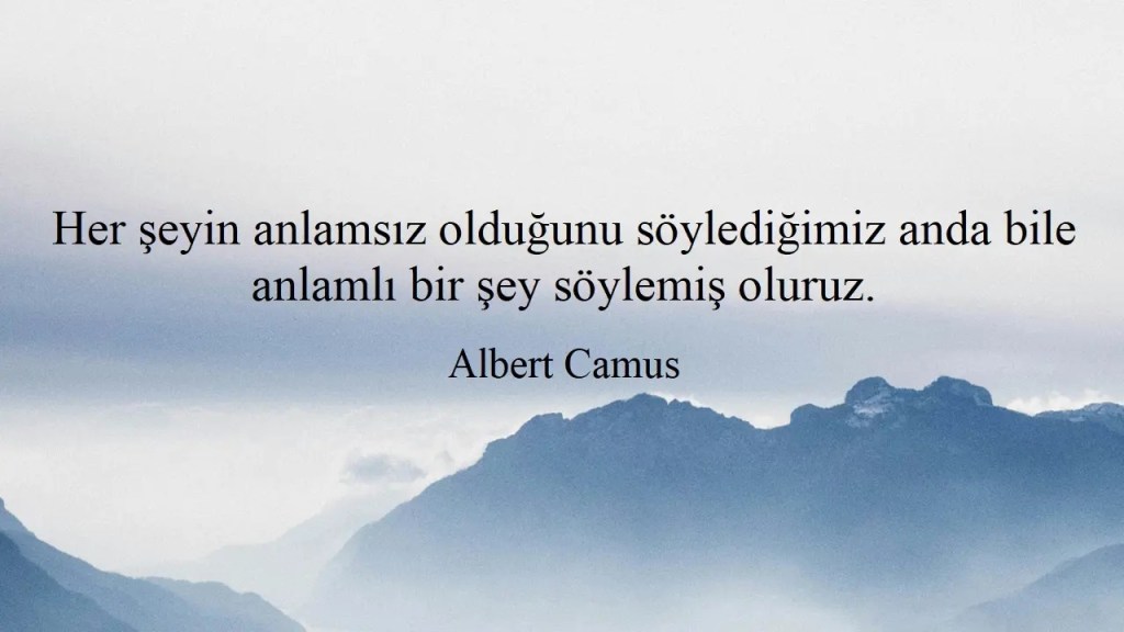 Her şeyin anlamsız olduğunu söylediğimiz anda bile anlamlı bir şey söylemiş&nbsp;oluruz.
